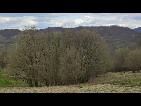 365.,, Pâinea și sarea in bucate", Gânduri cu tâlc, de Paște, 16.04.2023