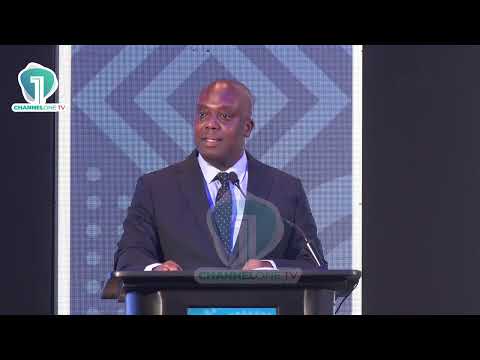 Rising cost of politics blocking women and youth participation — Vice President Naana Jane