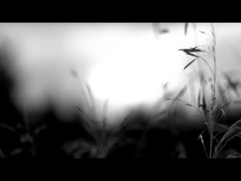 Юра Самовілов - Напевно (iiiii eyes ремікс)