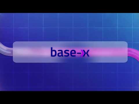 Base-X Ecosystem Overview