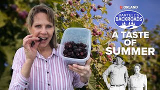 How a California berry built an entertainment powerhouse | Bartell's Backroads