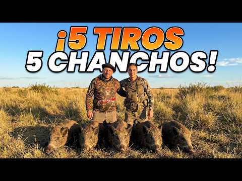 Maipú: Caza de chanchos salvajes y adrenalina