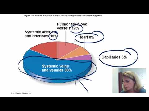 Blood Vessels Part 1