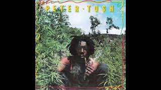 Peter Tosh   Till Your Well Runs Dry on HQ Vinyl with Lyrics in Description