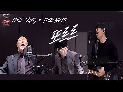 또르르 Cover by 더크로스 X 더넛츠