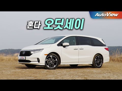 진짜 가족을 위한다면 ... 2023 혼다 오딧세이 리뷰 / 오토뷰