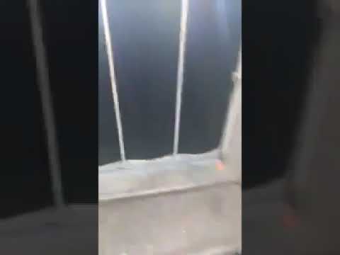 download lagu mp3 mp4 Asi Te Queria Agarrar Puerco, download lagu Asi Te Queria Agarrar Puerco gratis, unduh video klip Download Asi Te Queria Agarrar Puerco Mp3 dan Mp4 Unlimited Gratis