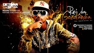 MC Robinho ZL   Rei da Gozolandia   Musica nova 2014 DJ Ferreira Lançamento Oficial