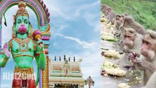 Temple video