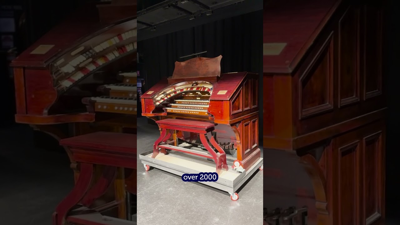 Text And Media Video