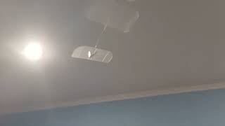 PP W30C14 | Batavia 'F1D' 2 - part 2