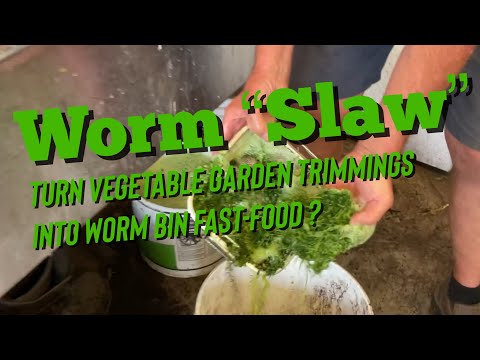 Worm Slaw - A Summer Tradition?
