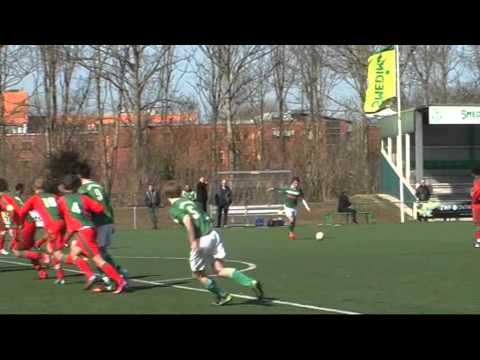 Zeerobben A1-Zwaagwesteinde A1