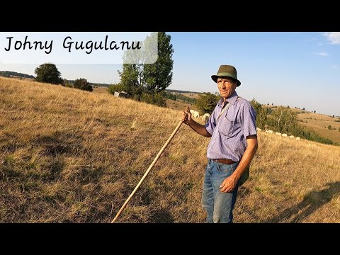 Oile turcane ale domnului Gogu de la Valisoara. Caras-severin.
