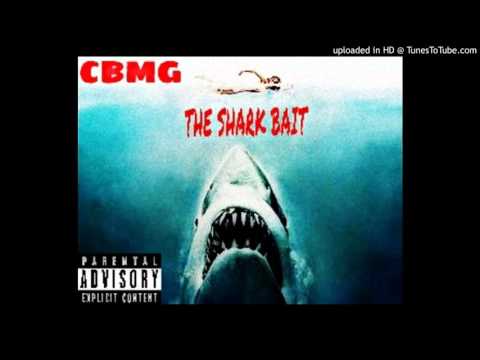 CBMG-check (freestyle)