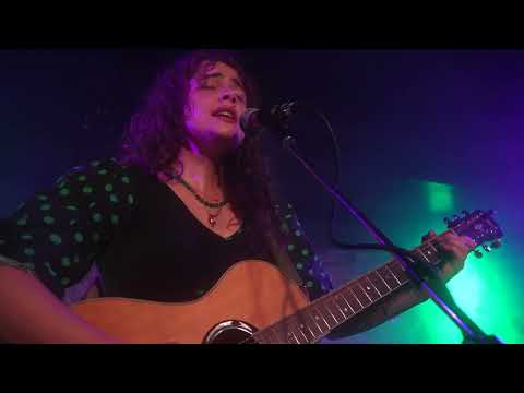 Roof Cats - Ode to the Activist