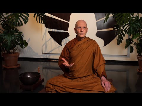 The 37 Requisites of Enlightenment (6): The Four Foundations of Mindfulness