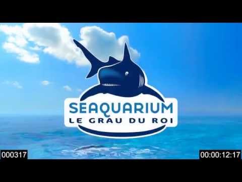 comment renforcer aquarium