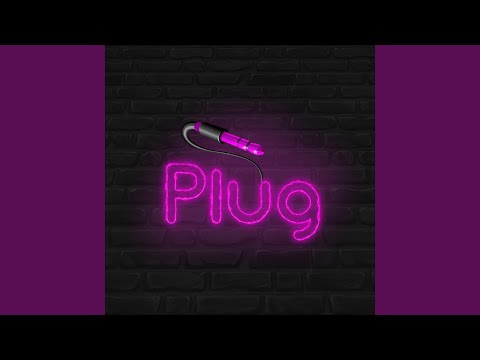 Plug