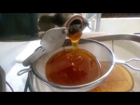 качаю первый мёд 2016