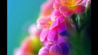 The First Time Ever I Saw Your Face - Mantovani y su Orquesta