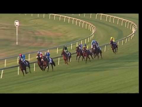 THE COLTS CLASSIC BON STYLE