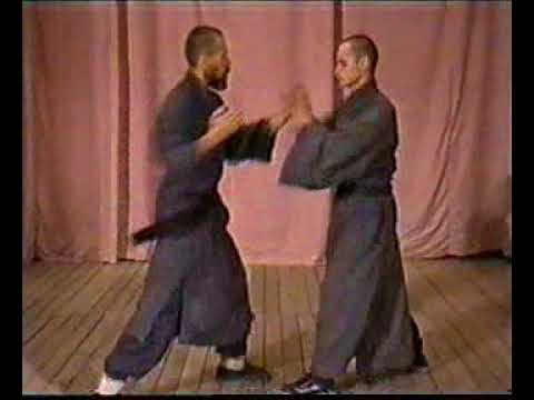 Лапа 1 Связка 2