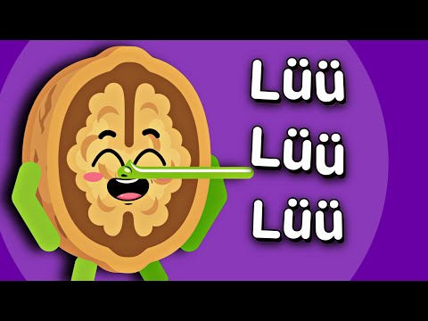 Ceviz Adam ŞİP ŞAP ŞOP | Eğlenceli Çocuk Şarkısı