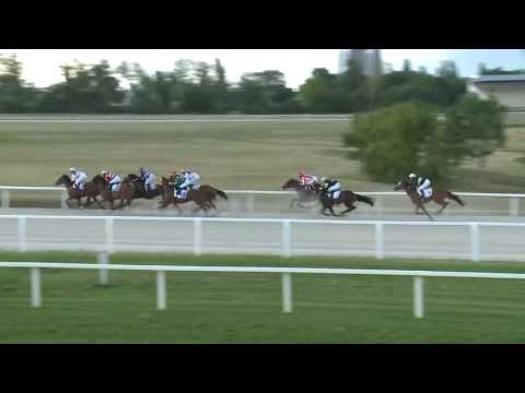 2017.08.06. 7. futam - DÁMAVERSENY HENDIKEP (V.o.) (szintetikus pálya)