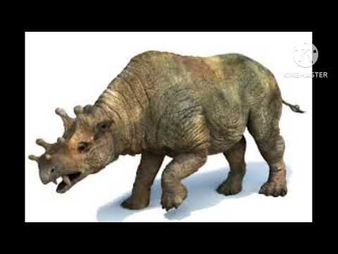Uintatherium Sound Effect