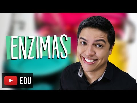 ENZYMES - BIOCHEMISTRY - Biology with Prof. Kennedy Ramos