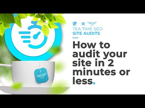SEO Audit in 2 Minutes