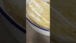 How to transfer sourdough from banneton to Dutch oven :  Sourdough bread for beginners : Sourdough