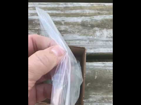 .50cal BP, Testing Hornady's 385gr Great Plains Bullets, in Clear Ballistics Gel