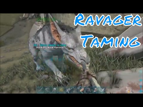 FINALLY TAMING A RAVAGER + HIGH LEVEL RAVAGER PACK ATTACK | Ark: Aberration Episode #4