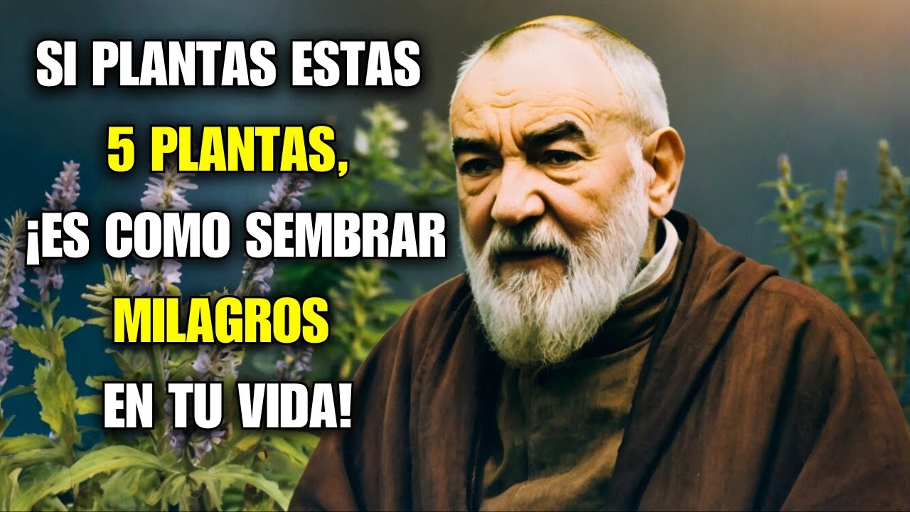 PADRE PÍO: PLANTA ESTAS 5 PLANTAS PODEROSAS EN TU CASA HOY… ¡ES COMO SEMBRAR MILAGROS EN TU VIDA!