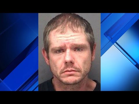 download lagu mp3 mp4 Nofsinger, download lagu Nofsinger gratis, unduh video klip Nofsinger