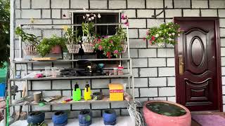 ភូមិឋានវិមានតែ