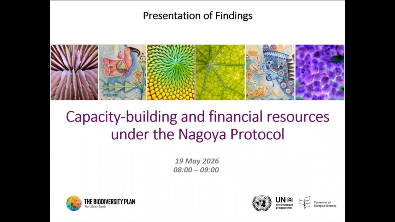 Presentation of findings: Capacity-building under the Nagoya Protocol