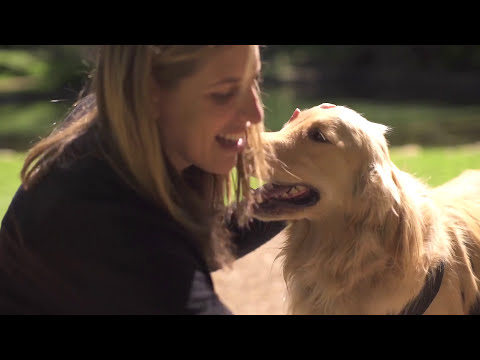 Dog Nutrition with Experts from Purina | Tractor Supply Co.
