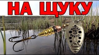 Сезон ловля щуки осенью на озере