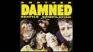 Another Damned Seattle Compilation (1991)