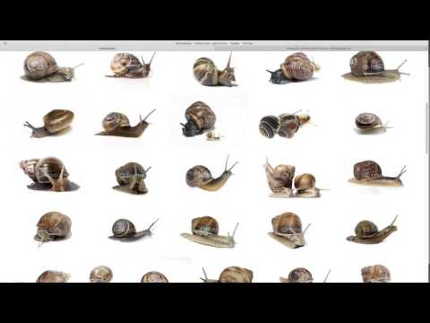 Tutorial: Rasante Stockfoto-Composings