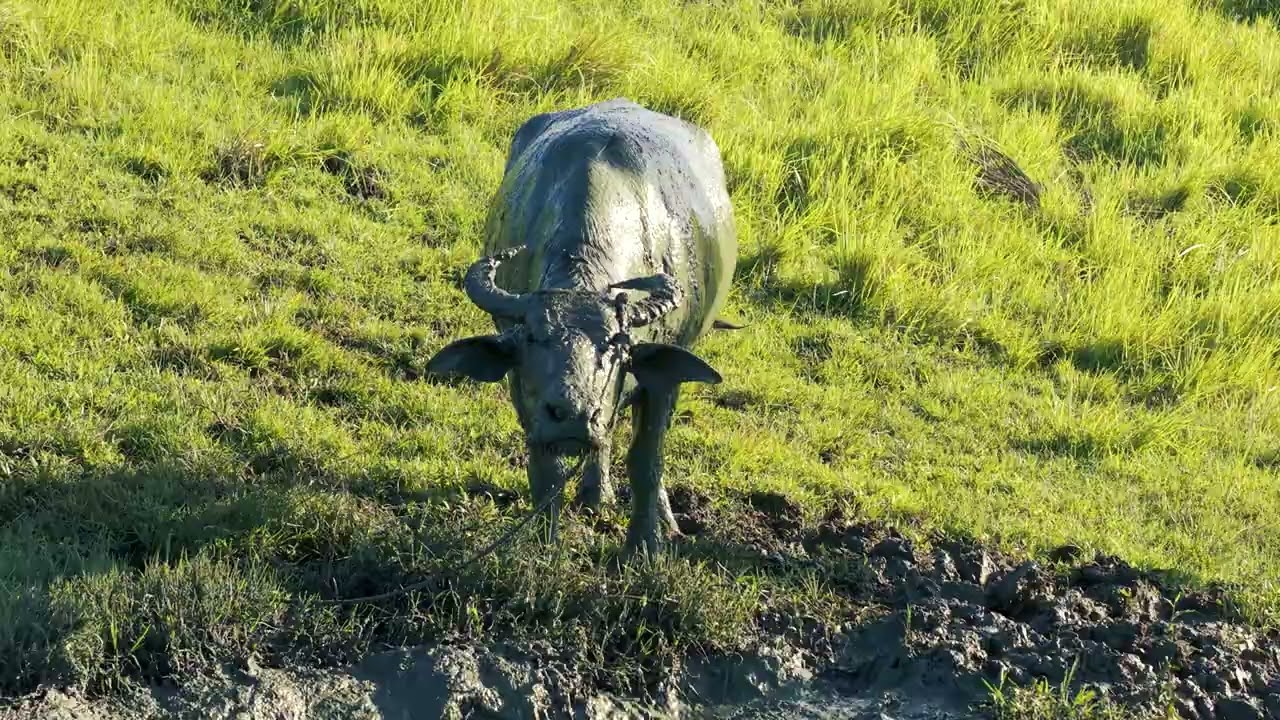Things to do in Siargao Island video — watch on YouTube