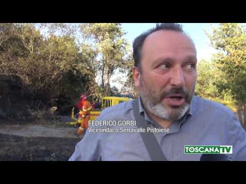 2017-07-19 PISTOIA - FIAMME NEL PISTOIESE, BRUCIA BOSCO A CASALGUIDI