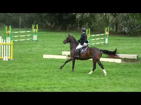 Happyness- Dorset Showground 24/08/16