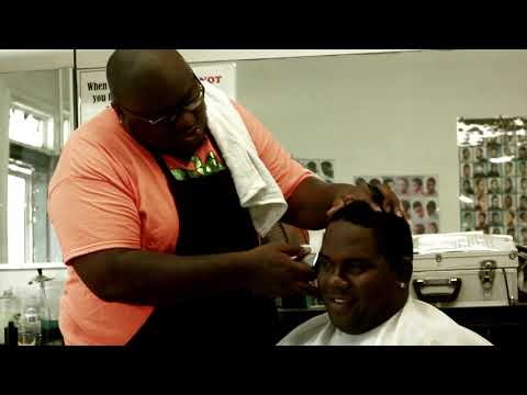 Barrytone Zoohouse - By all means - music video