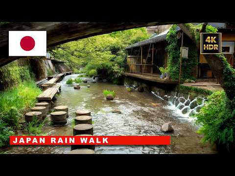 ☂️ Japan Rain Walk in 4K | A Quiet Stroll Through A Hidden River Garden