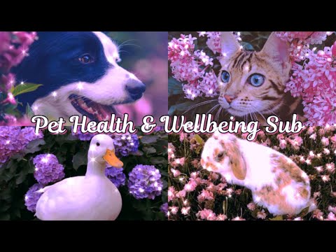 Pet Health & Wellbeing Subliminal | Happy and Healthy pets 💕