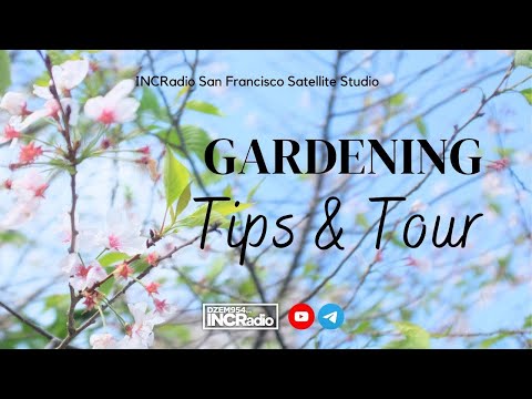 GARDENING Tips & Tour | INCRadio San Francisco, CA | June 1, 2024